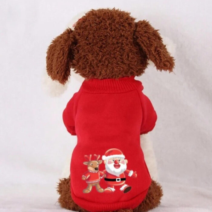 RTR-039-L_altpic_3