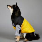 RTR-069-2XL_altpic_3