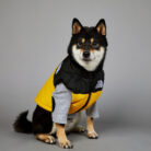 RTR-069-2XL_altpic_5