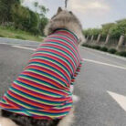 RTR-071-2XL_altpic_2
