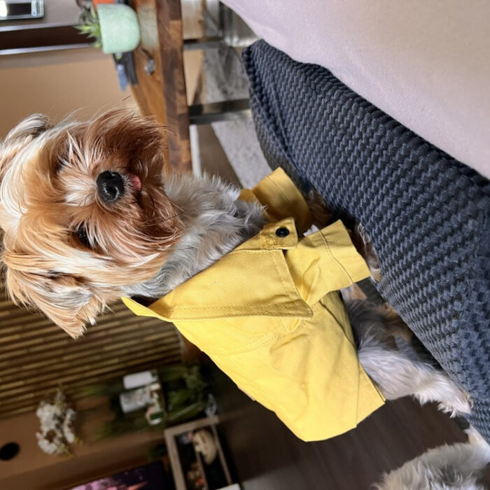 RTR-073-Lsarga__altpic_6 RTR-073-Lsarga__altpic_6