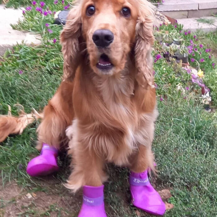 RTR-180-Lzold RTR-180-Lzold