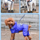 RTR-203-Mkek_altpic_1