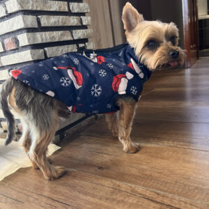 Karácsonyi Kutyamellény Pórázakasztóval – kék, 3XL